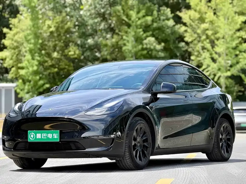Tesla Model Y — фото 8
