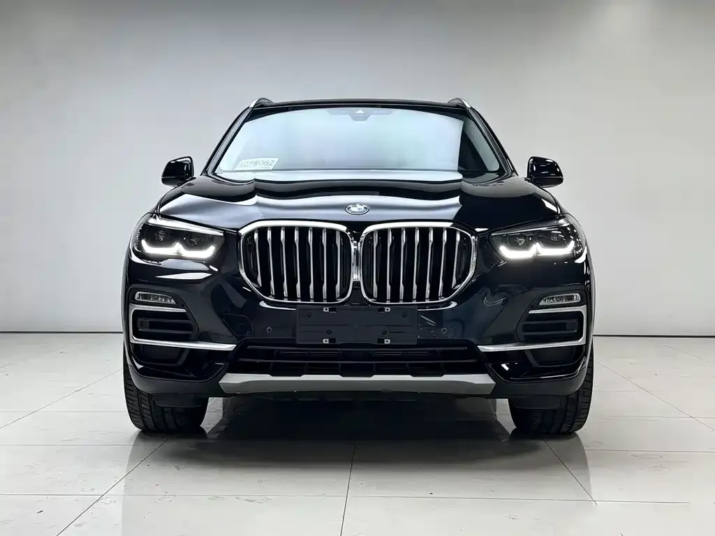 BMW X5 (Import) 2021 из CN, фото 8