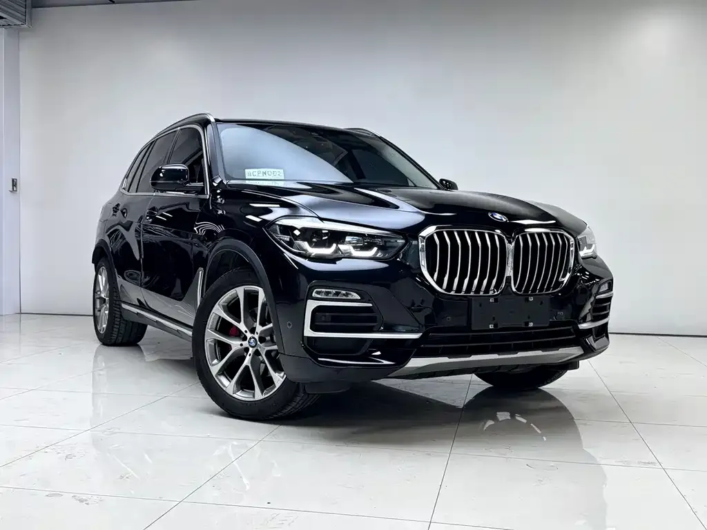 BMW X5 (Import) 2021 из CN, фото 10