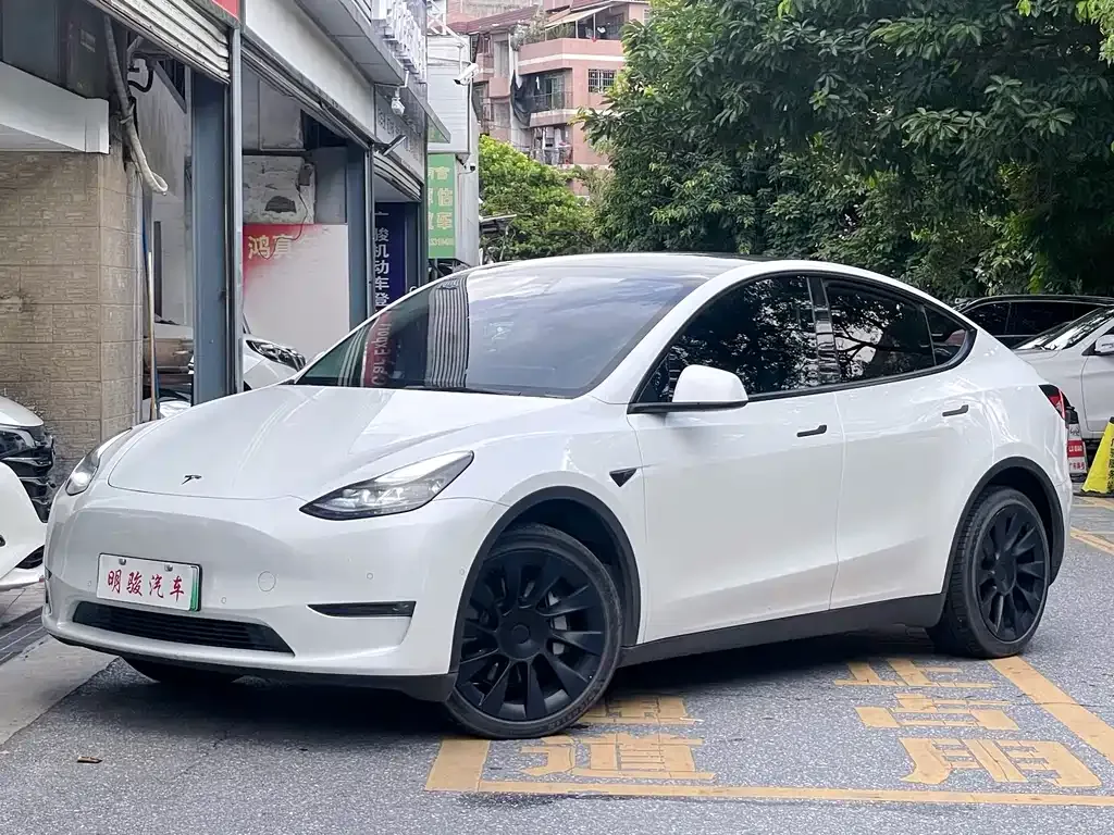 Tesla Model Y — фото 1