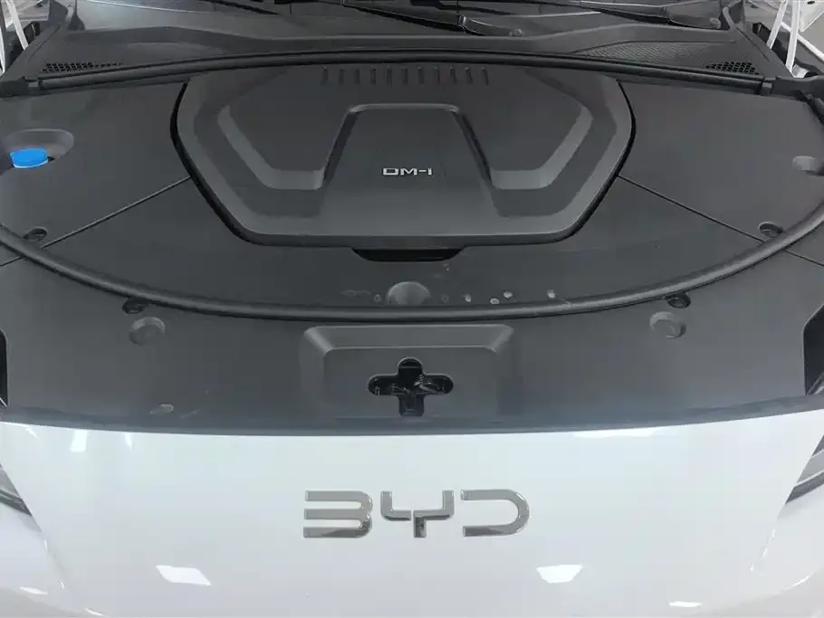 BYD PLUS New Energy — фото 9