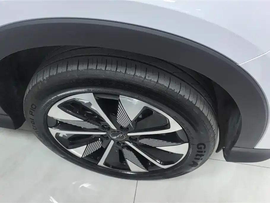 BYD PLUS New Energy — фото 2