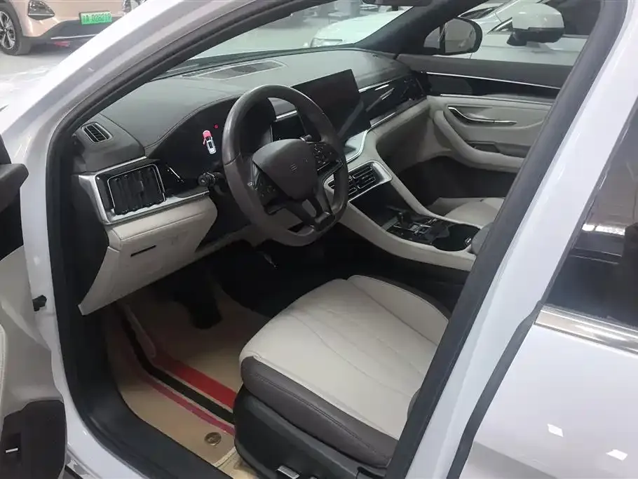 BYD PLUS New Energy — фото 3