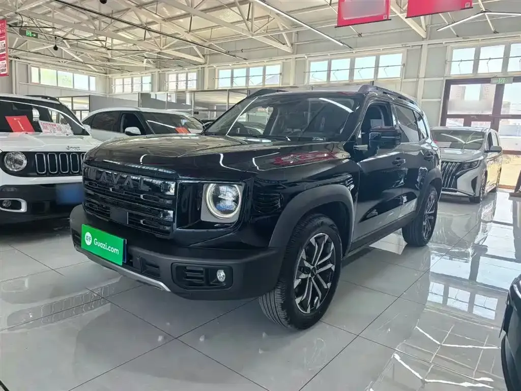 Haval Big Dog — фото 10