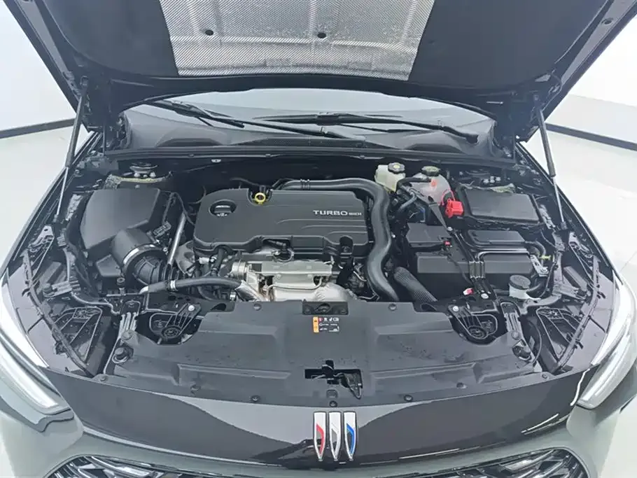 Buick Regal — фото 10