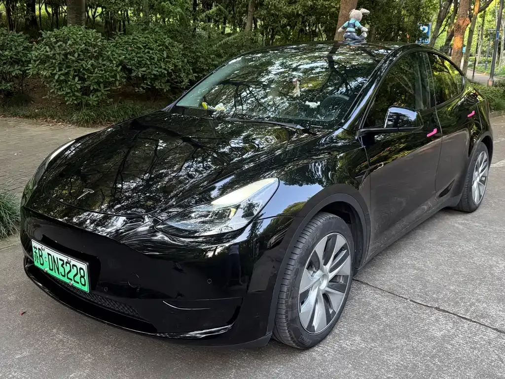 Tesla Model Y — фото 1