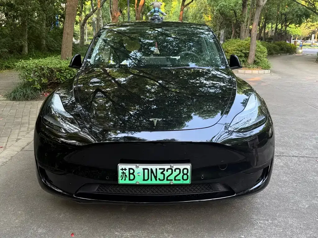 Tesla Model Y — фото 7