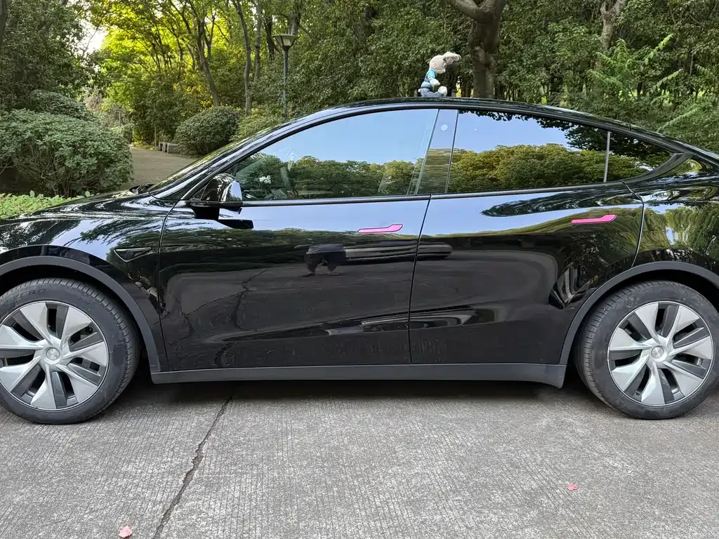 Tesla Model Y — фото 9