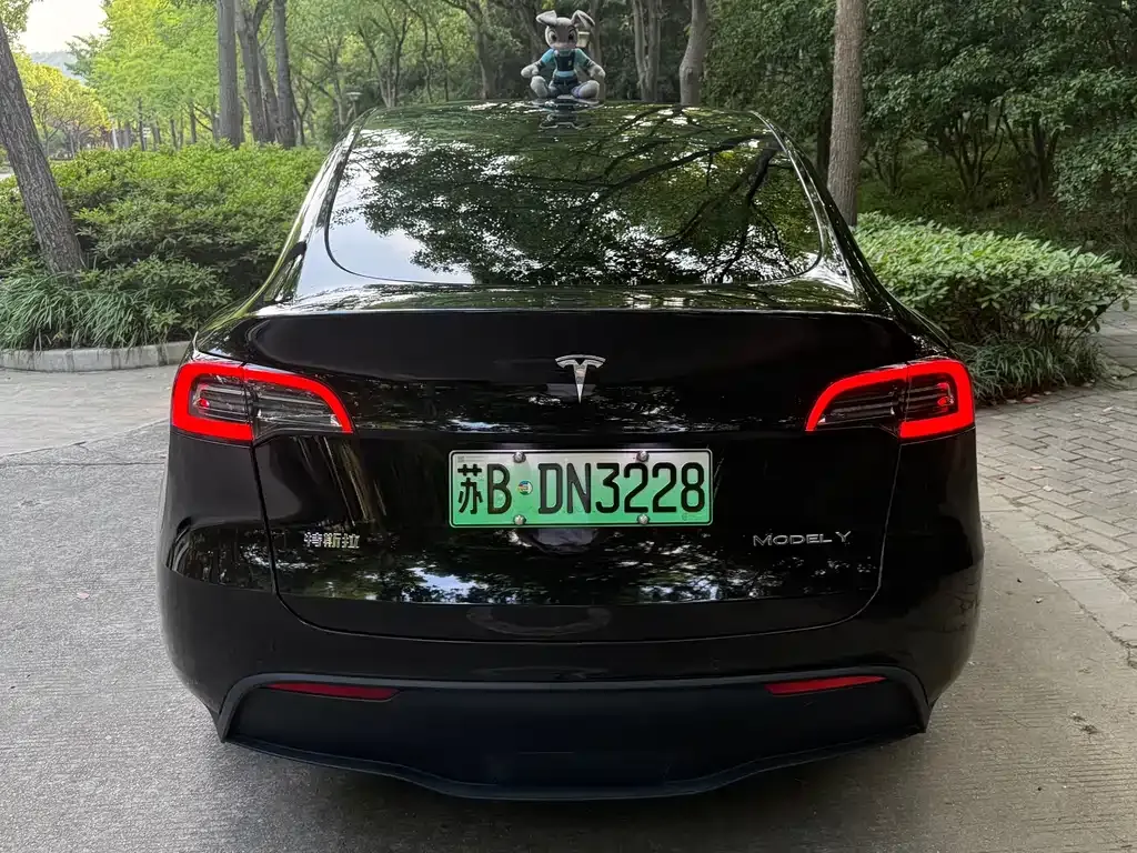 Tesla Model Y — фото 3