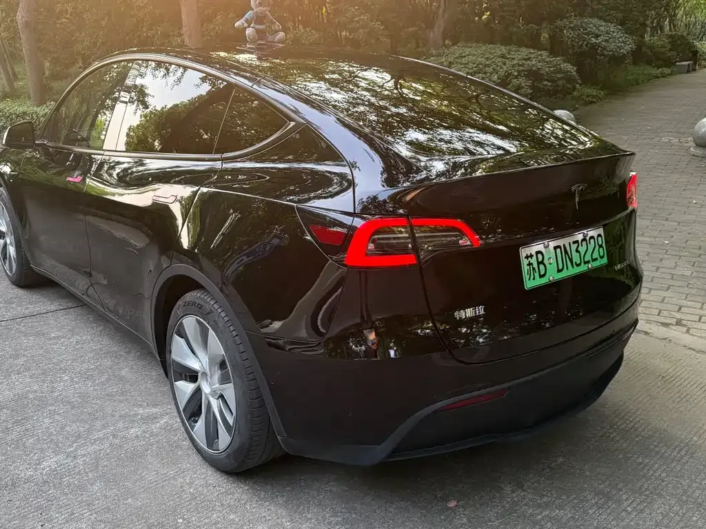 Tesla Model Y — фото 8