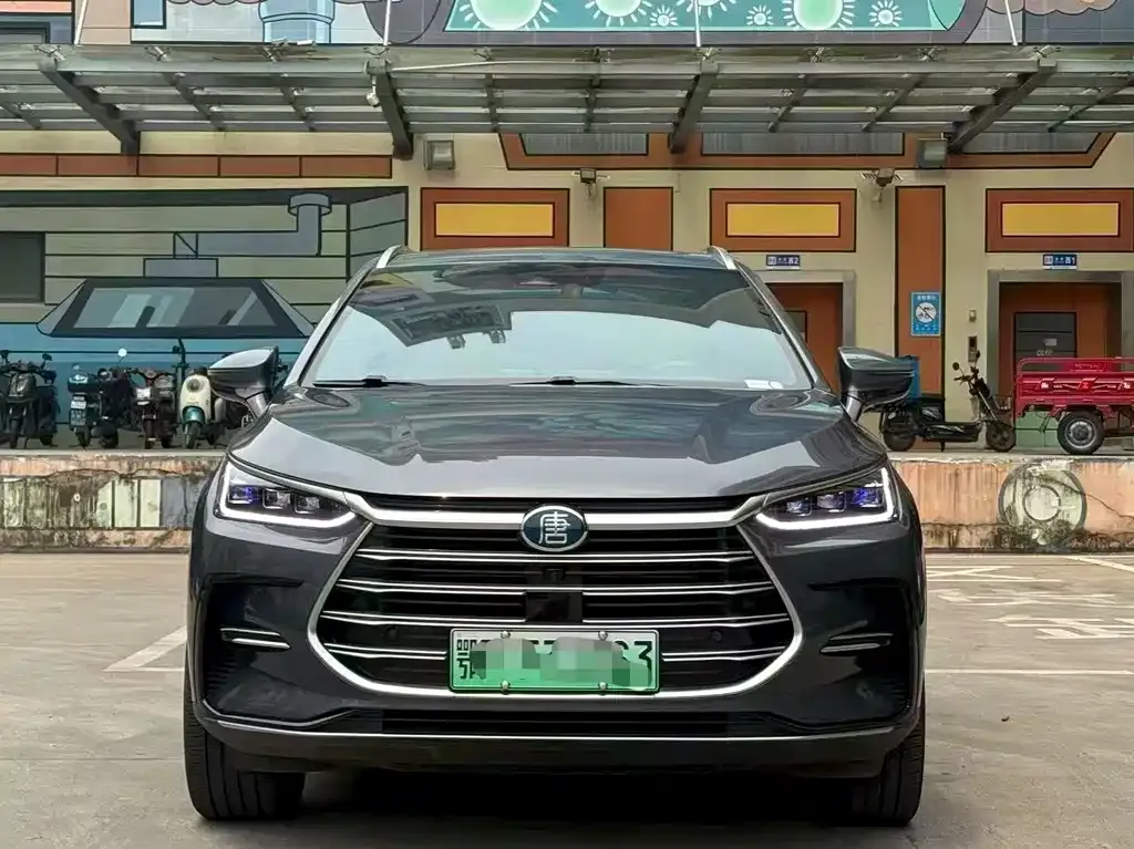 BYD Tang New Energy 2023 из CN, фото 2