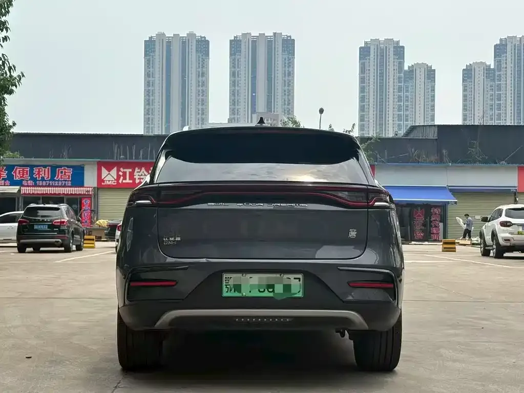 BYD Tang New Energy 2023 из CN, фото 4