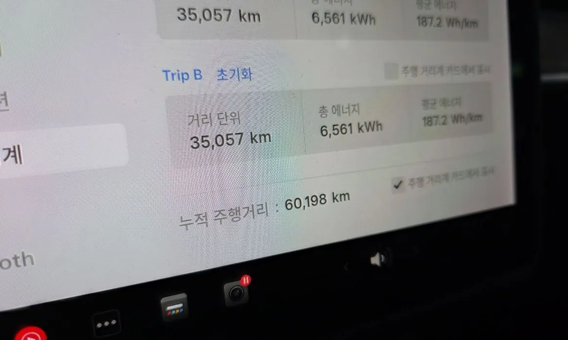Tesla Model Y 2021 из KR, фото 9