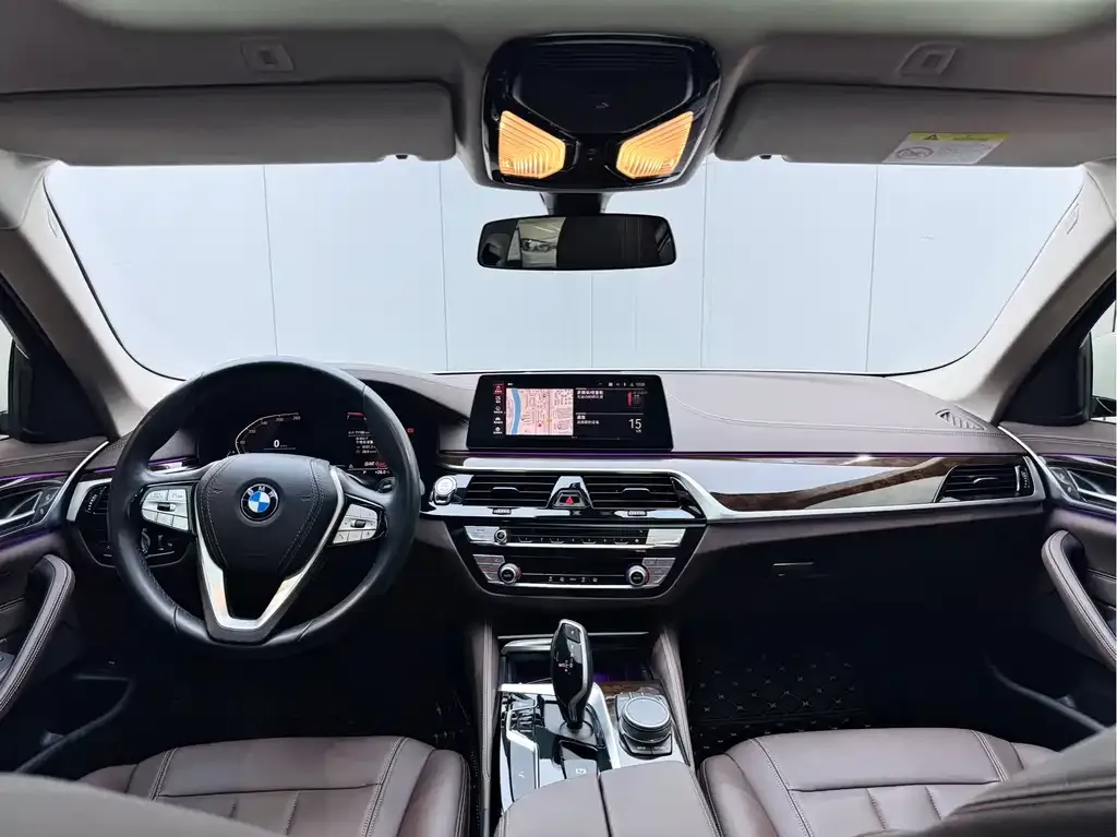 BMW 5 Series 2021 из CN, фото 5