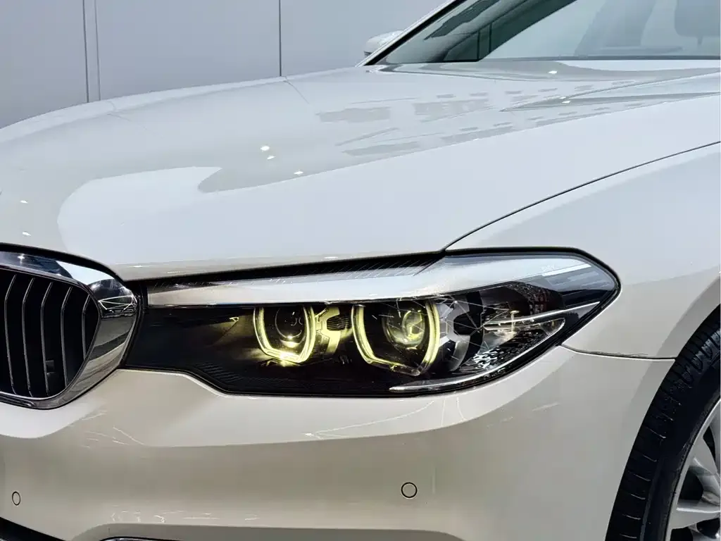 BMW 5 Series 2021 из CN, фото 3