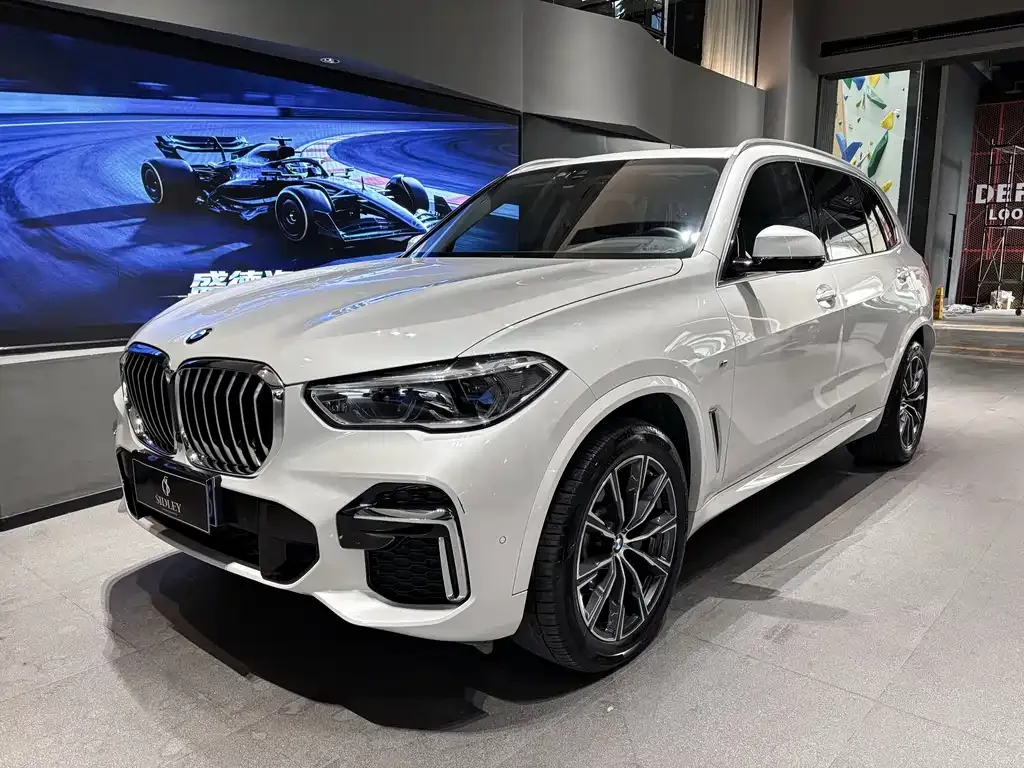 BMW X5 — фото 1