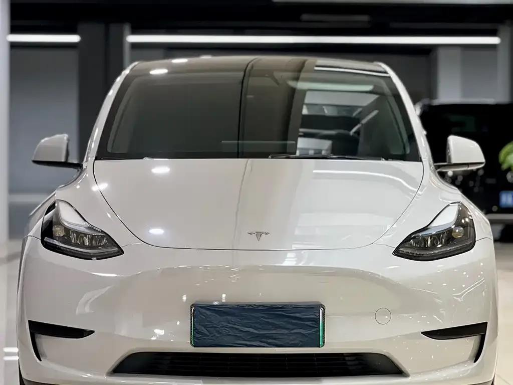 Tesla Model Y — фото 2