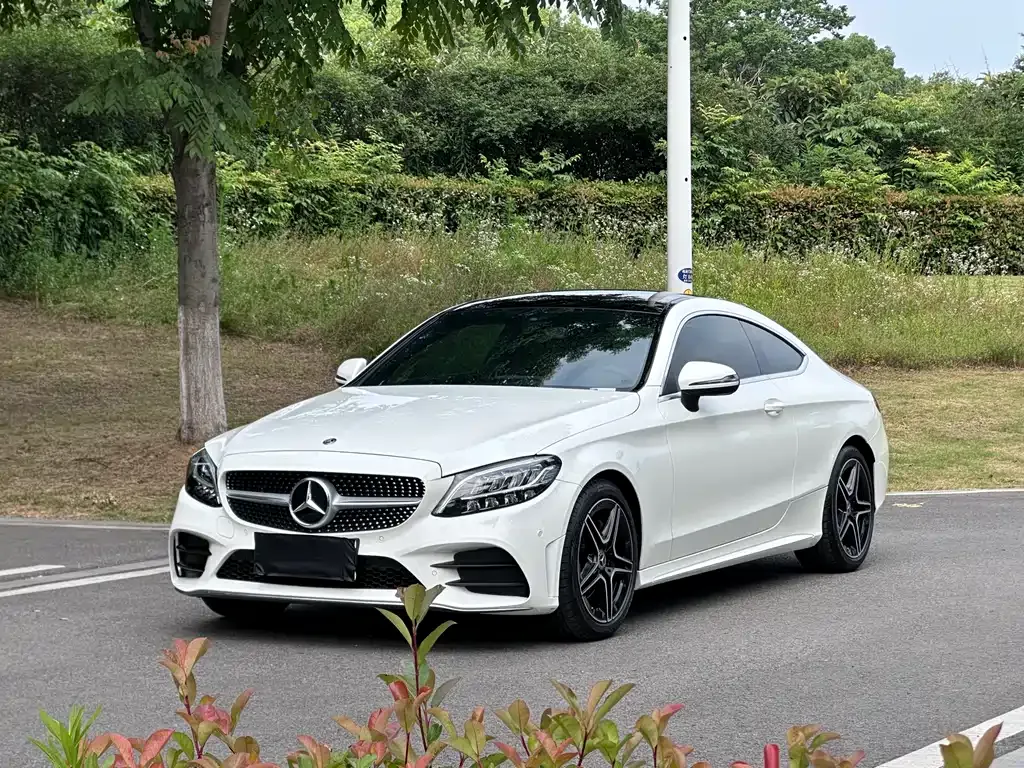 Mercedes-Benz C-Class (Import) — фото 10