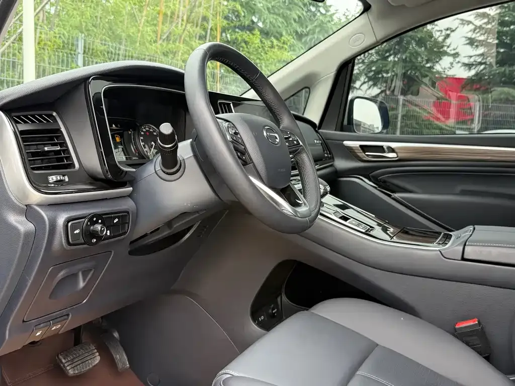 GAC Motor Trumpchi M8 2024 из CN, фото 6