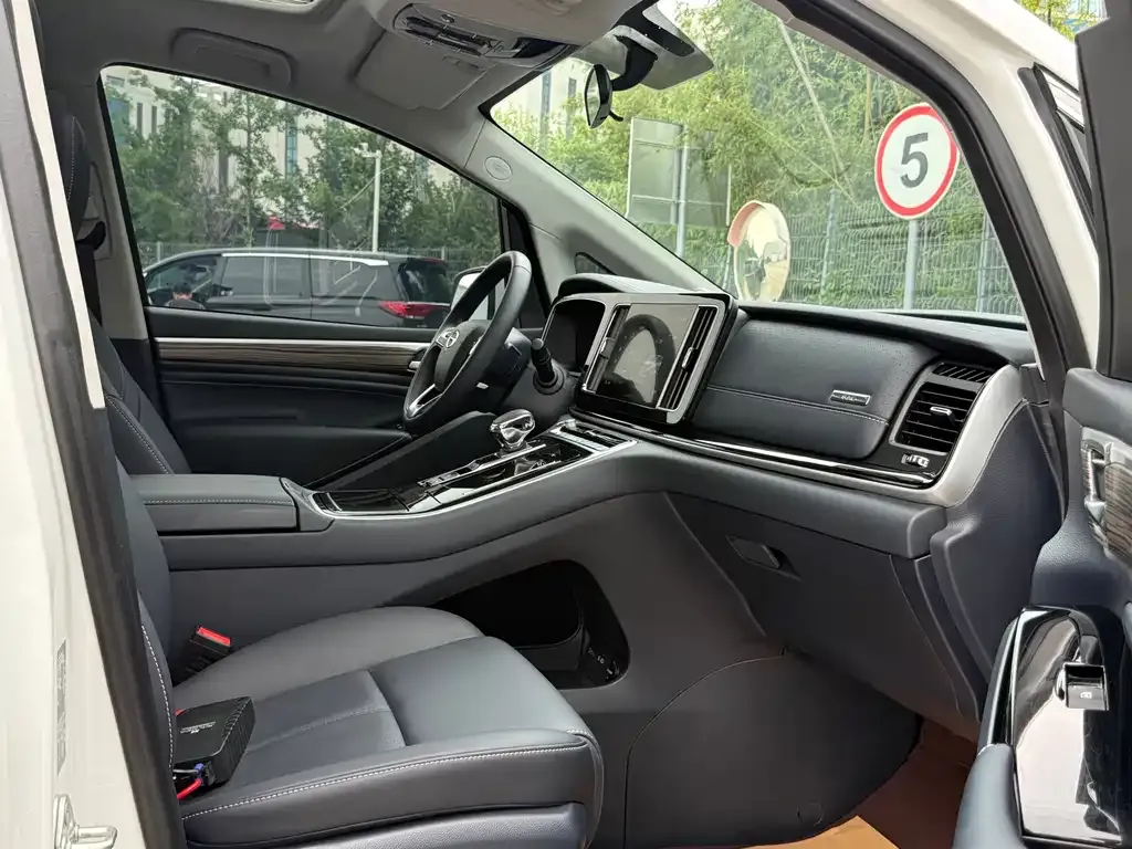GAC Motor Trumpchi M8 2024 из CN, фото 4