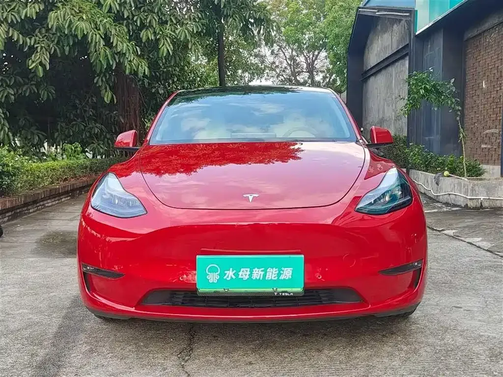 Tesla Model Y — фото 8