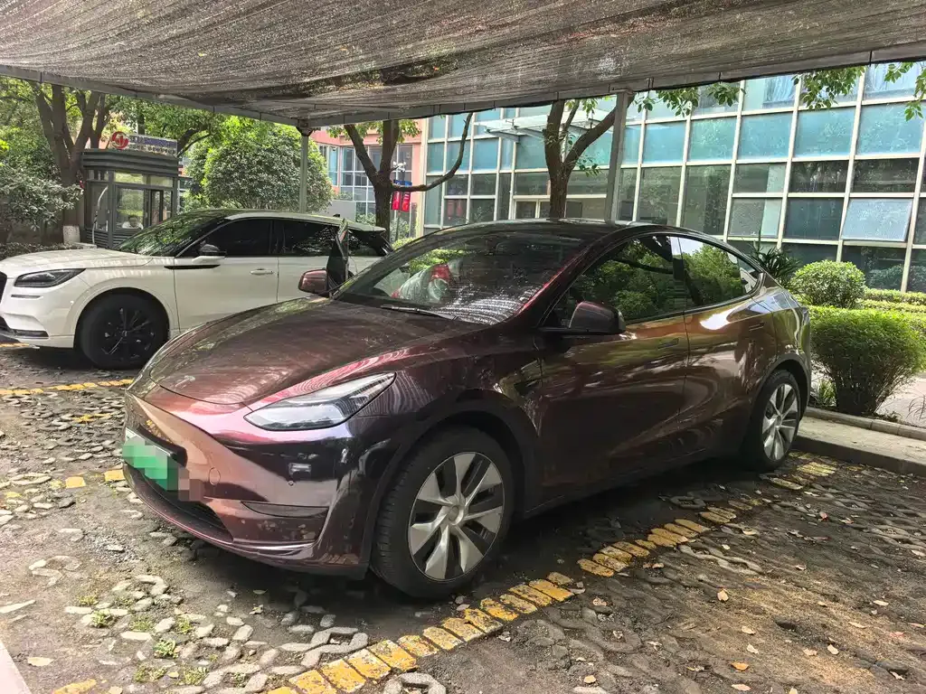 Tesla Model Y — фото 1