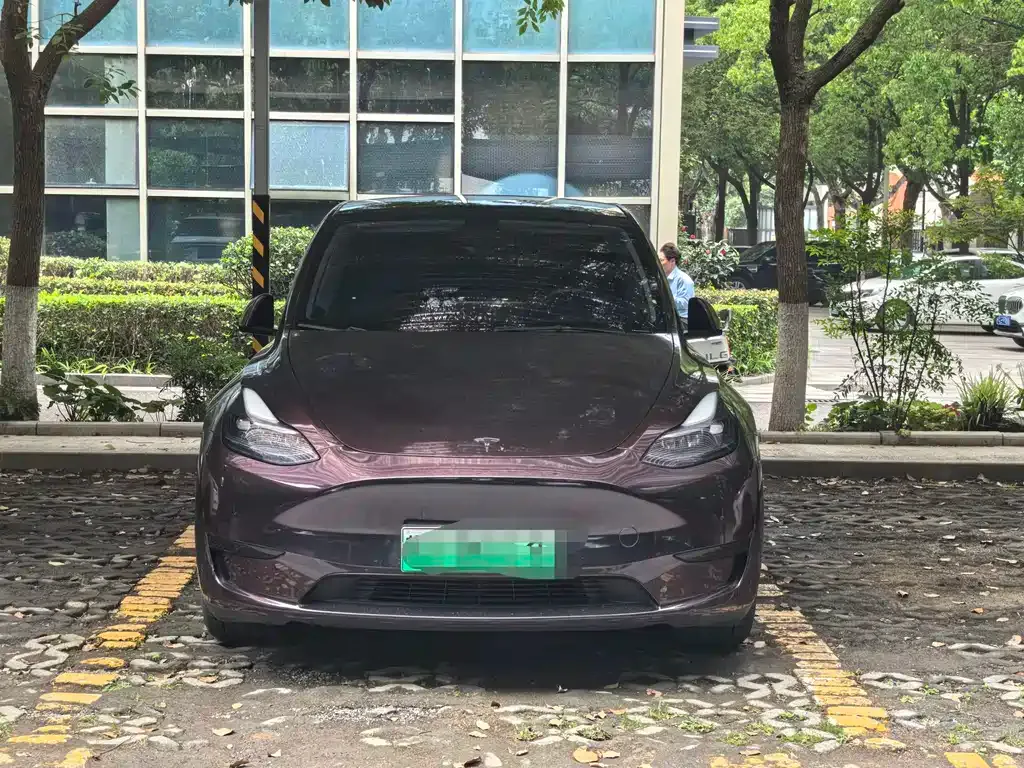 Tesla Model Y — фото 4