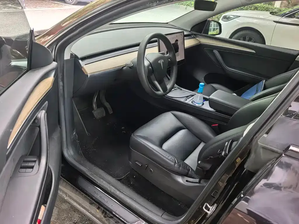 Tesla Model Y — фото 2