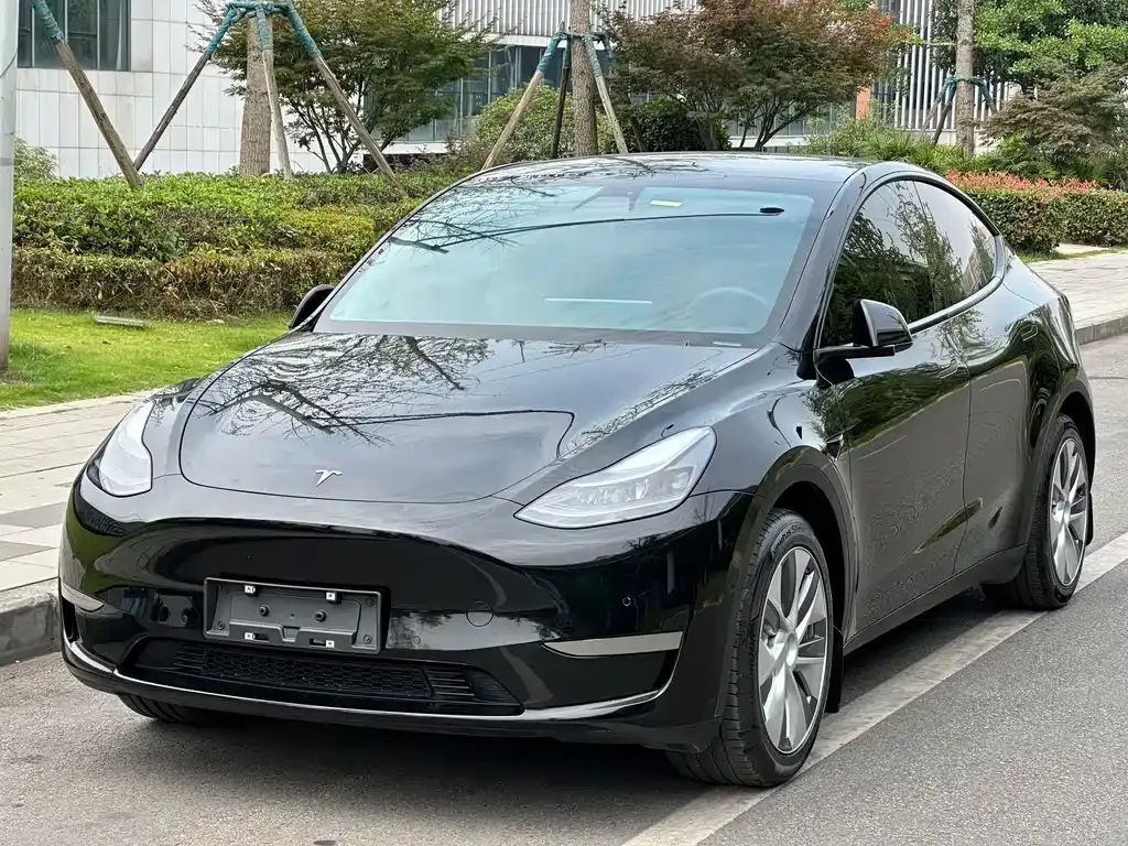 Tesla Model Y — фото 1