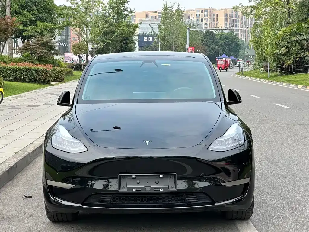Tesla Model Y — фото 4