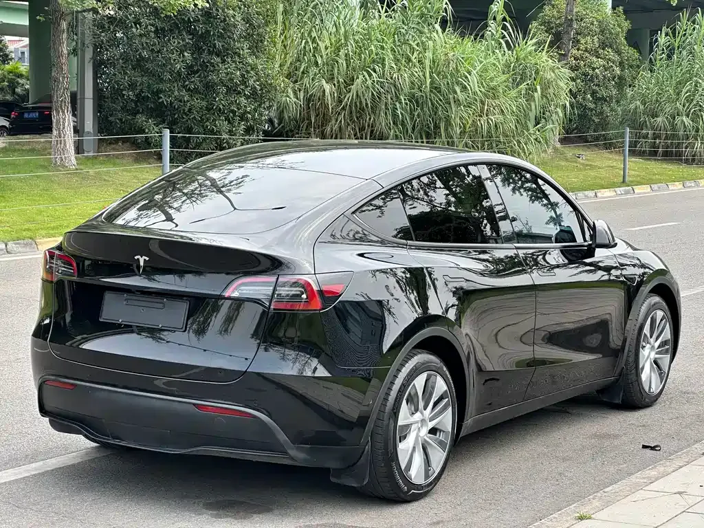 Tesla Model Y — фото 5