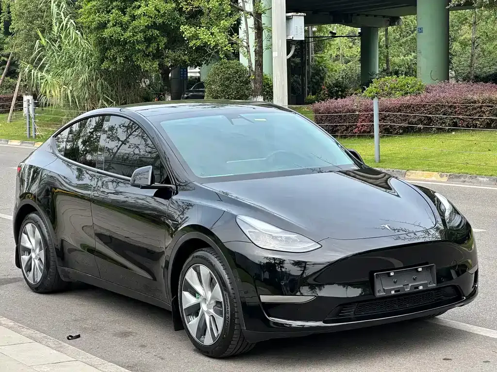 Tesla Model Y — фото 7