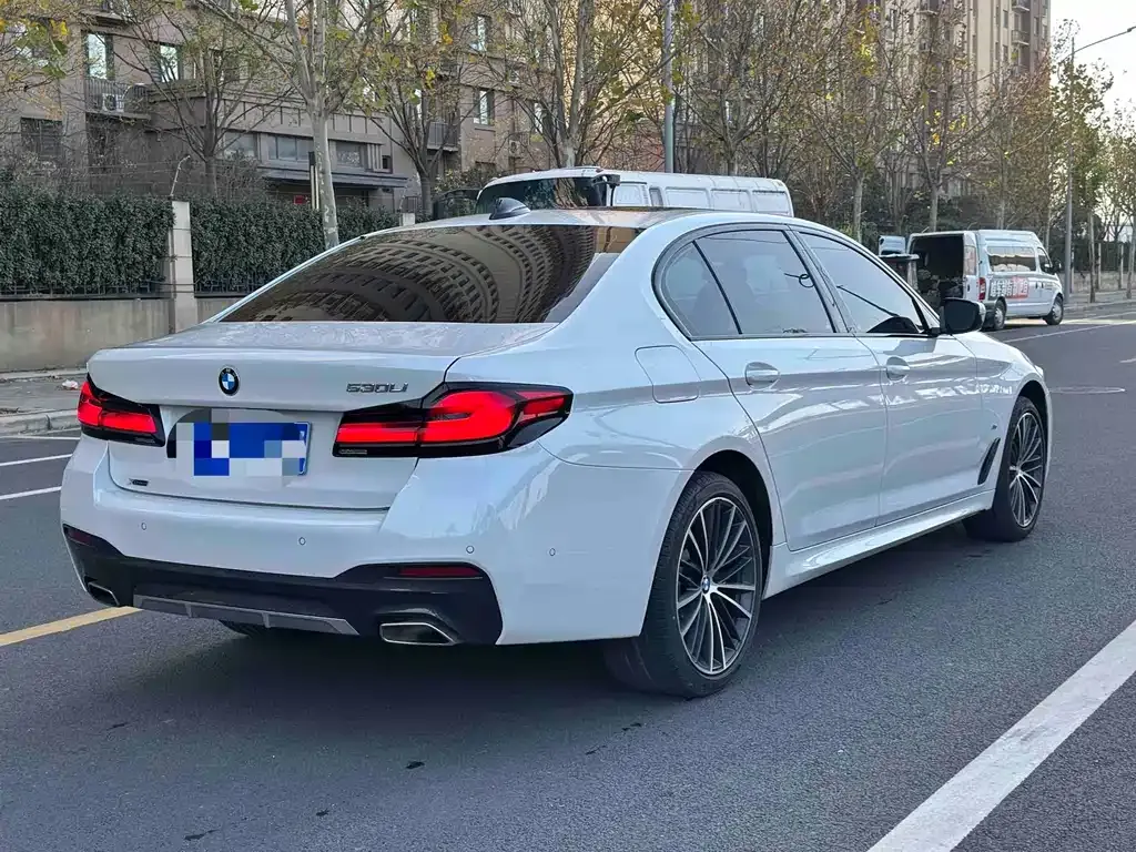 BMW 5 Series 2023 из CN, фото 10