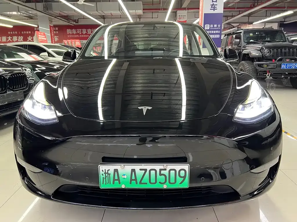 Tesla Model Y — фото 1