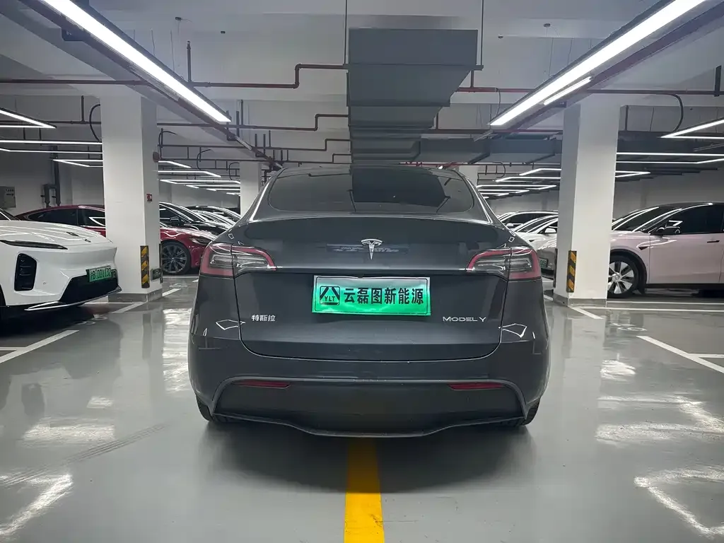 Tesla Model Y — фото 3