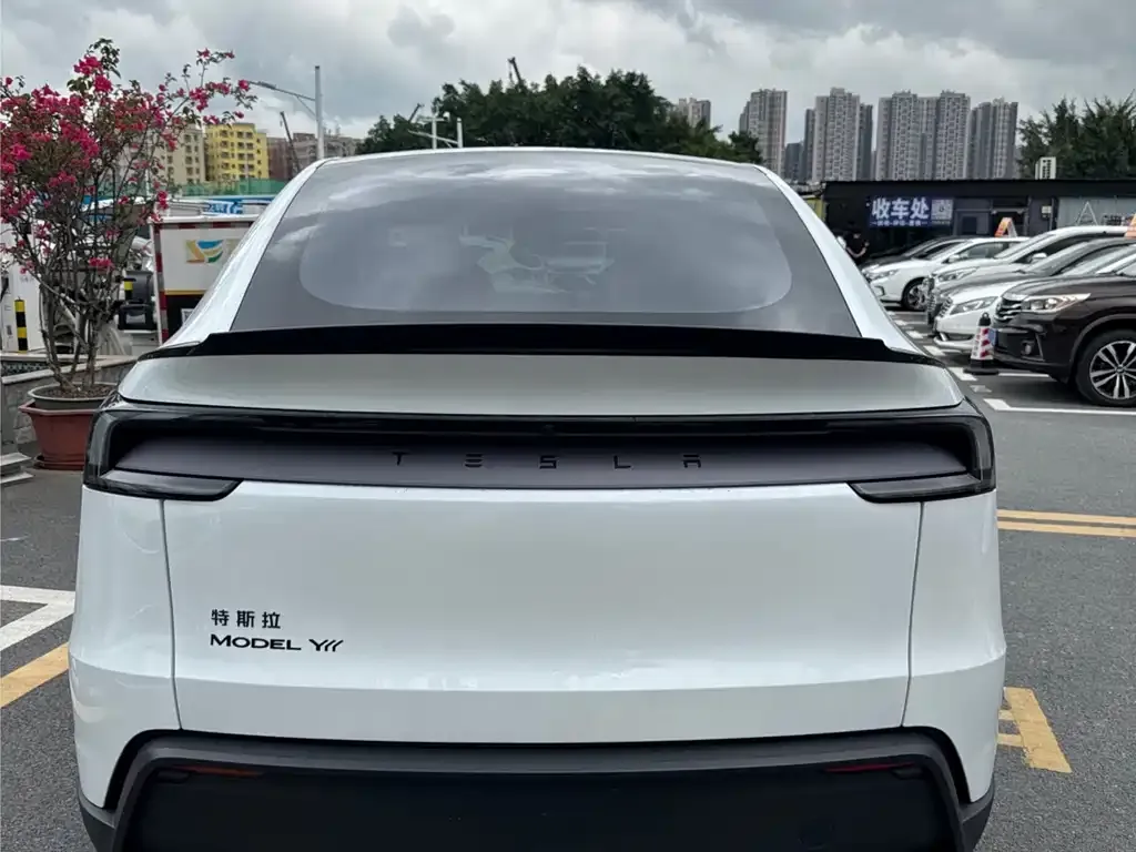 Tesla Model Y L — фото 9