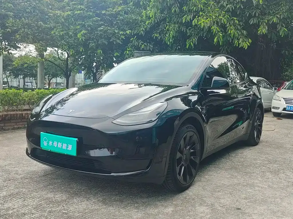 Tesla Model Y — фото 1