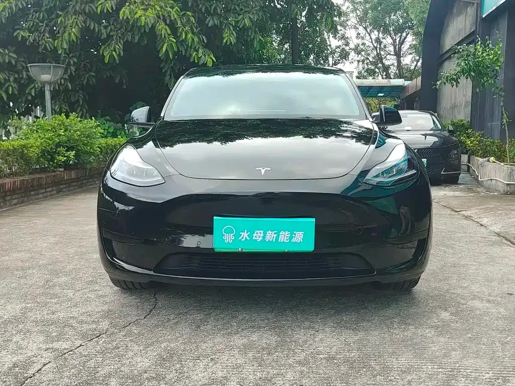 Tesla Model Y — фото 6