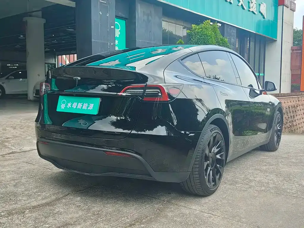 Tesla Model Y — фото 10