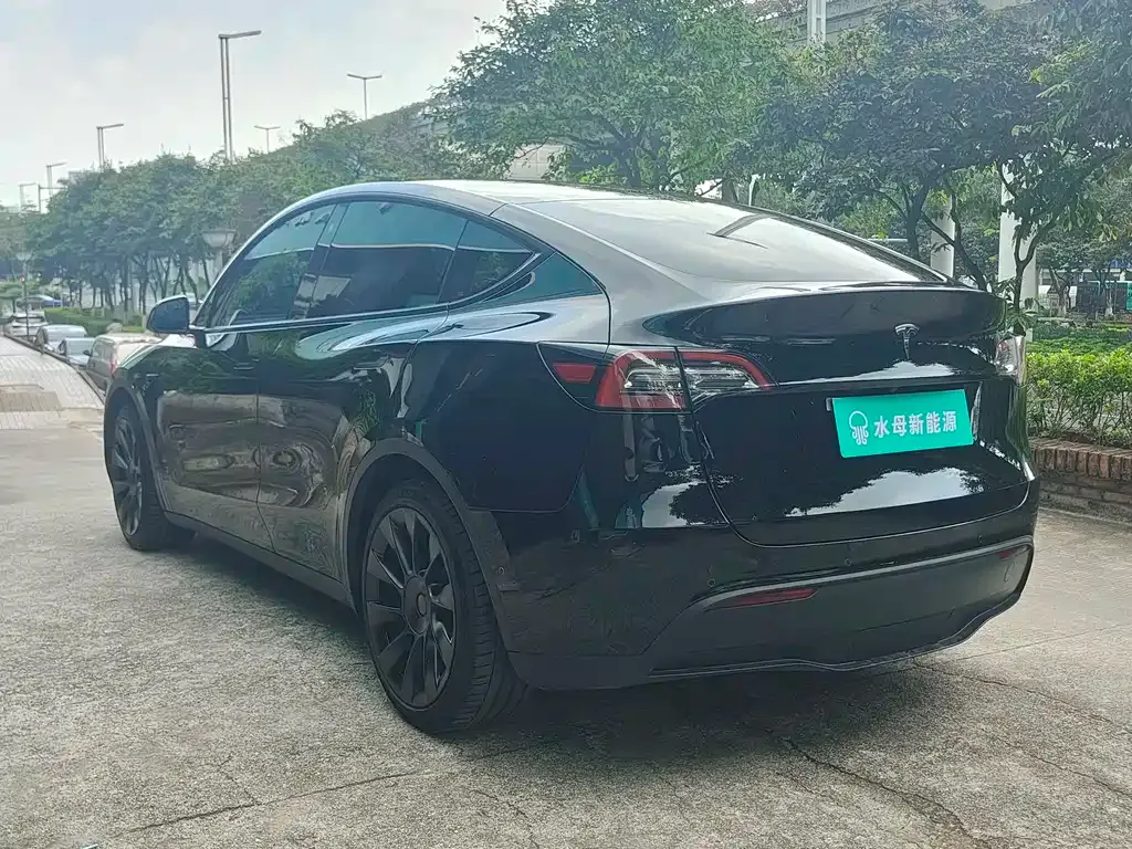Tesla Model Y — фото 9