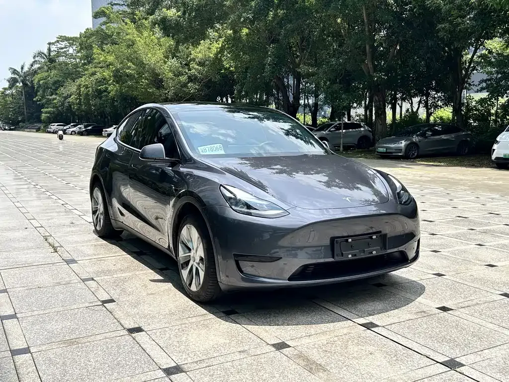 Tesla Model Y — фото 8