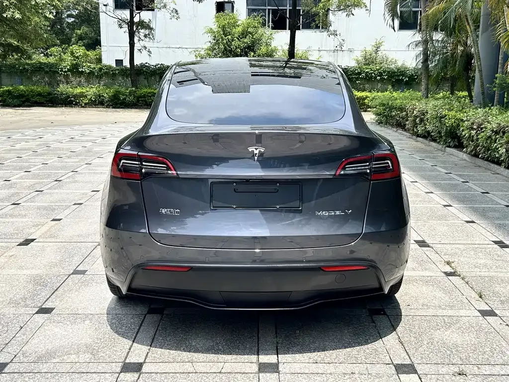 Tesla Model Y — фото 9