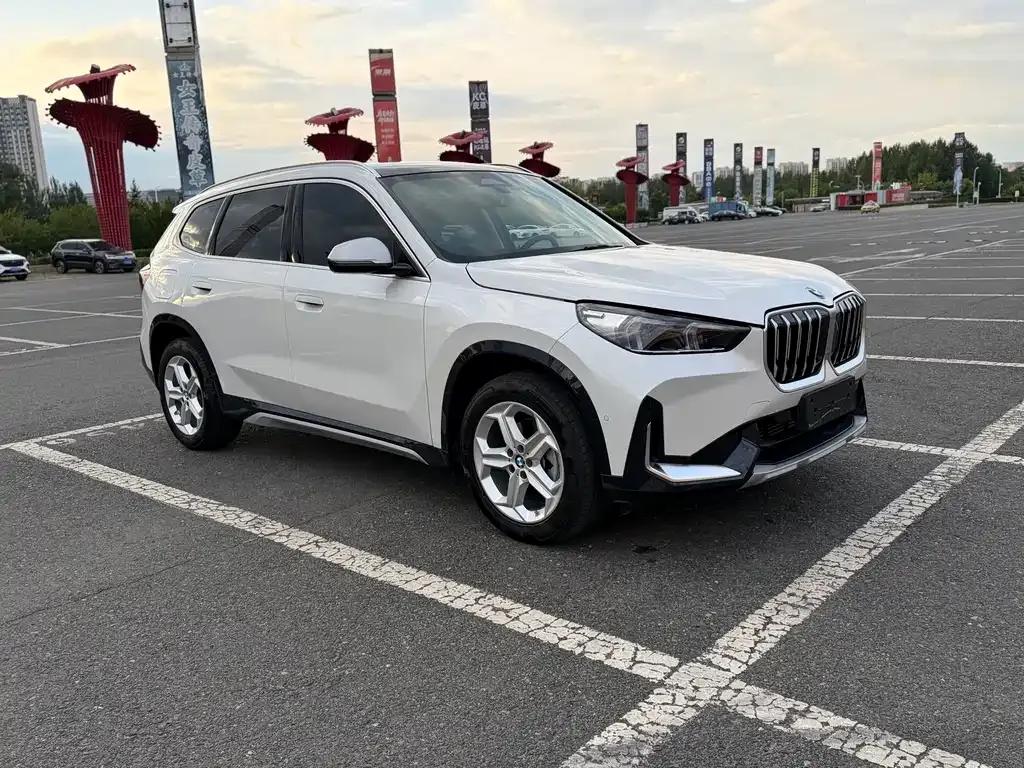 BMW X1 — фото 10
