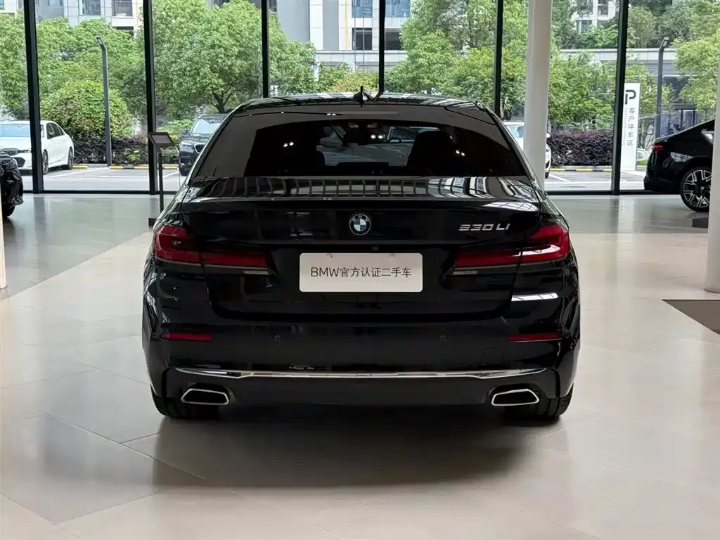 BMW 5 Series 2021 из CN, фото 7
