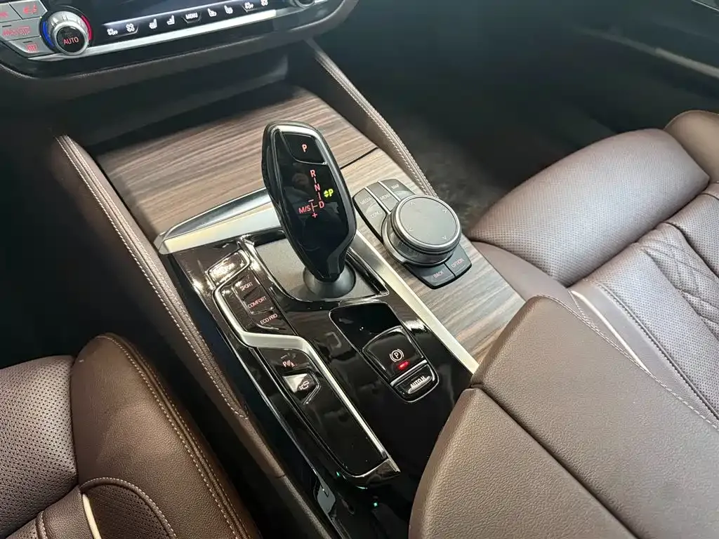 BMW 5 Series 2021 из CN, фото 10