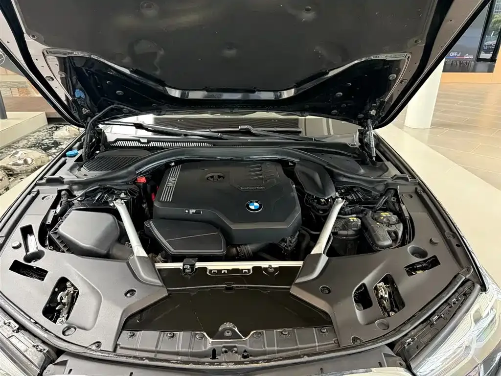 BMW 5 Series 2021 из CN, фото 8