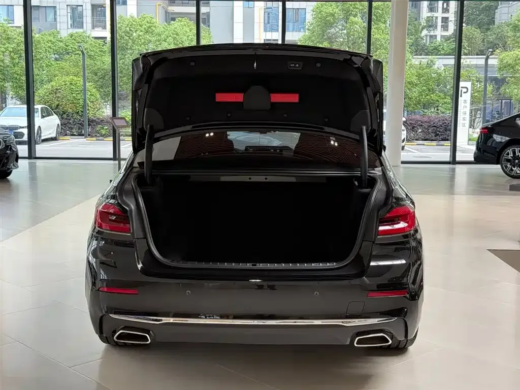 BMW 5 Series 2021 из CN, фото 6