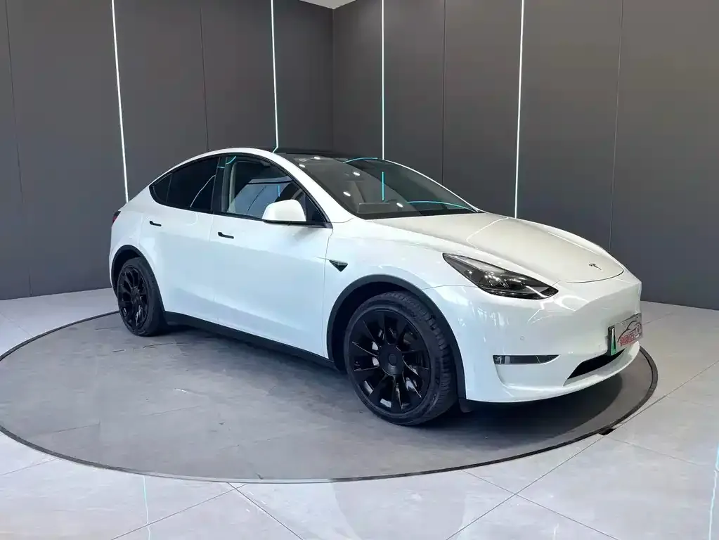 Tesla Model Y — фото 5