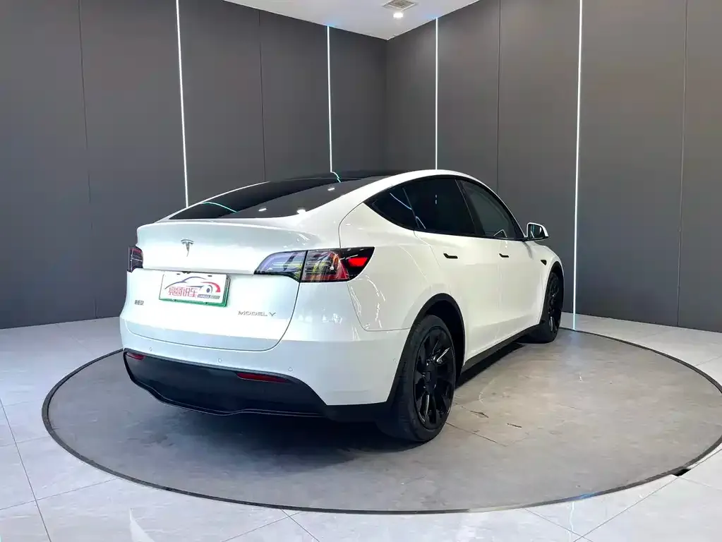Tesla Model Y — фото 2