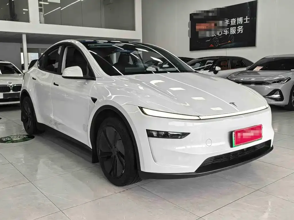 Tesla Model Y — фото 2